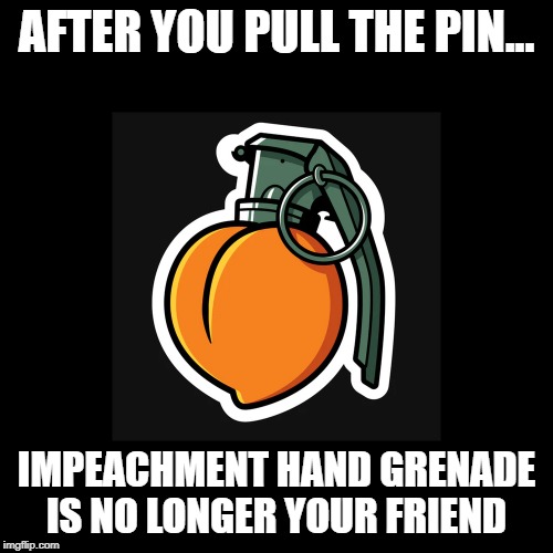 Impeachment Hand Grenade | AFTER YOU PULL THE PIN... IMPEACHMENT HAND GRENADE IS NO LONGER YOUR FRIEND | image tagged in impeachment,donald trump,nancy pelosi,congress,2020 | made w/ Imgflip meme maker