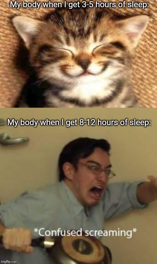 My body when I get 3-5 hours of sleep:; My body when I get 8-12 hours of sleep: | image tagged in happy cat,filthy frank confused scream | made w/ Imgflip meme maker