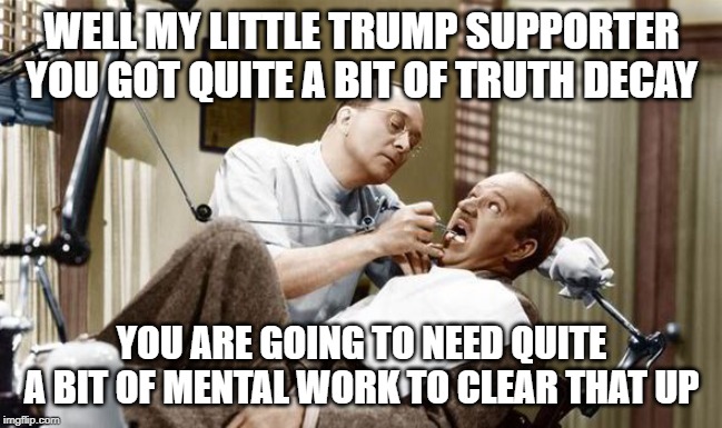 trump lies truth misinformation | WELL MY LITTLE TRUMP SUPPORTER
YOU GOT QUITE A BIT OF TRUTH DECAY; YOU ARE GOING TO NEED QUITE
A BIT OF MENTAL WORK TO CLEAR THAT UP | image tagged in donald trump,lies,trump supporters | made w/ Imgflip meme maker