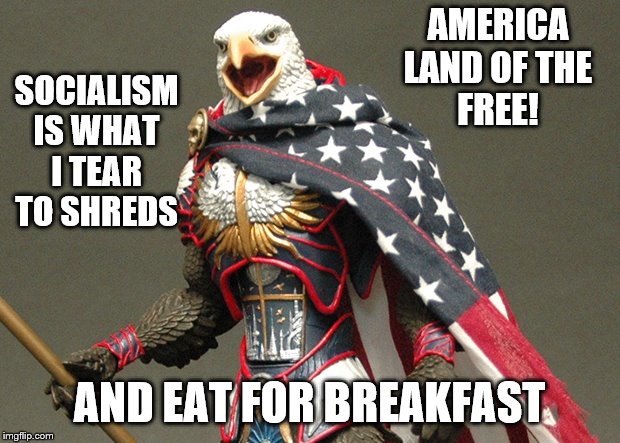 Patriotic Defender Eagle Of America | AMERICA
LAND OF THE
FREE! SOCIALISM IS WHAT I TEAR TO SHREDS; AND EAT FOR BREAKFAST | image tagged in patriotic defender eagle of america,memes,politics | made w/ Imgflip meme maker