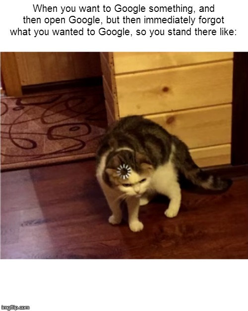 Loading Cat HD | When you want to Google something, and then open Google, but then immediately forgot what you wanted to Google, so you stand there like: | image tagged in loading cat hd | made w/ Imgflip meme maker