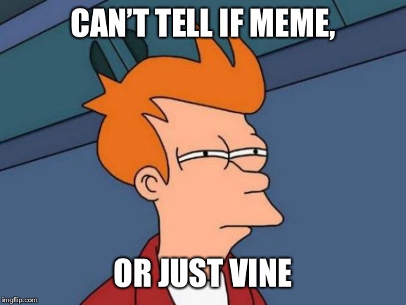 Futurama Fry | CAN’T TELL IF MEME, OR JUST VINE | image tagged in memes,futurama fry | made w/ Imgflip meme maker
