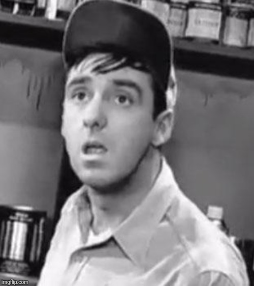 Gomer Pyle | image tagged in gomer pyle | made w/ Imgflip meme maker