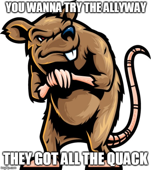 Shady Rat | YOU WANNA TRY THE ALLYWAY THEY GOT ALL THE QUACK | image tagged in shady rat | made w/ Imgflip meme maker