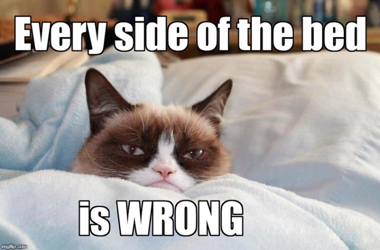 every side is wrong | image tagged in grumpy cat,every side of bed is wrong,cat humor | made w/ Imgflip meme maker
