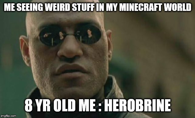 Matrix Morpheus Meme | ME SEEING WEIRD STUFF IN MY MINECRAFT WORLD; 8 YR OLD ME : HEROBRINE | image tagged in memes,matrix morpheus | made w/ Imgflip meme maker