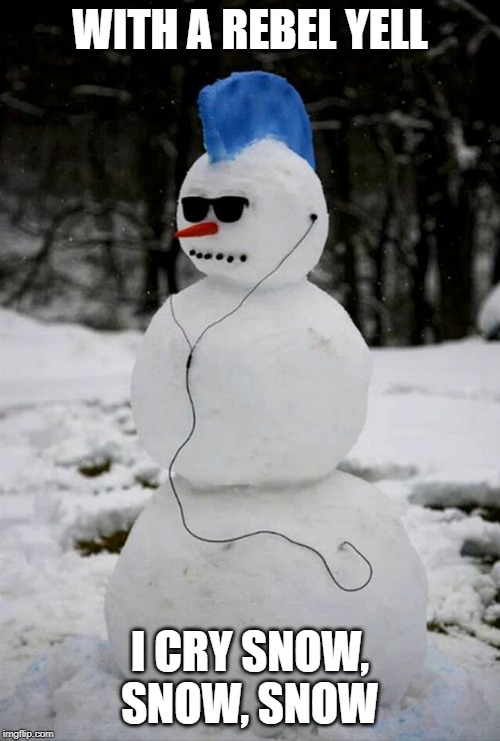 Rebel Yell | WITH A REBEL YELL; I CRY SNOW, SNOW, SNOW | image tagged in billy idol,snow,snowman | made w/ Imgflip meme maker