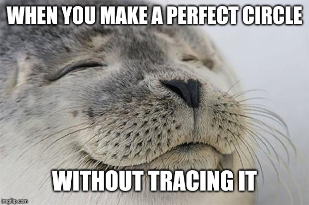 Satisfied Seal Meme | WHEN YOU MAKE A PERFECT CIRCLE; WITHOUT TRACING IT | image tagged in memes,satisfied seal | made w/ Imgflip meme maker