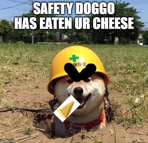 Safety doggo | SAFETY DOGGO HAS EATEN UR CHEESE | image tagged in safety doggo | made w/ Imgflip meme maker