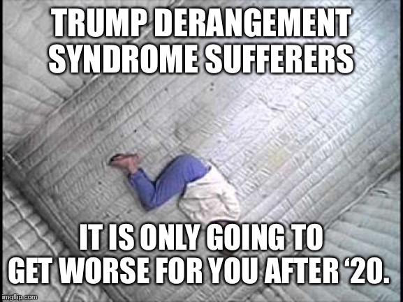 A Safe Place | TRUMP DERANGEMENT SYNDROME SUFFERERS IT IS ONLY GOING TO GET WORSE FOR YOU AFTER ‘20. | image tagged in a safe place | made w/ Imgflip meme maker