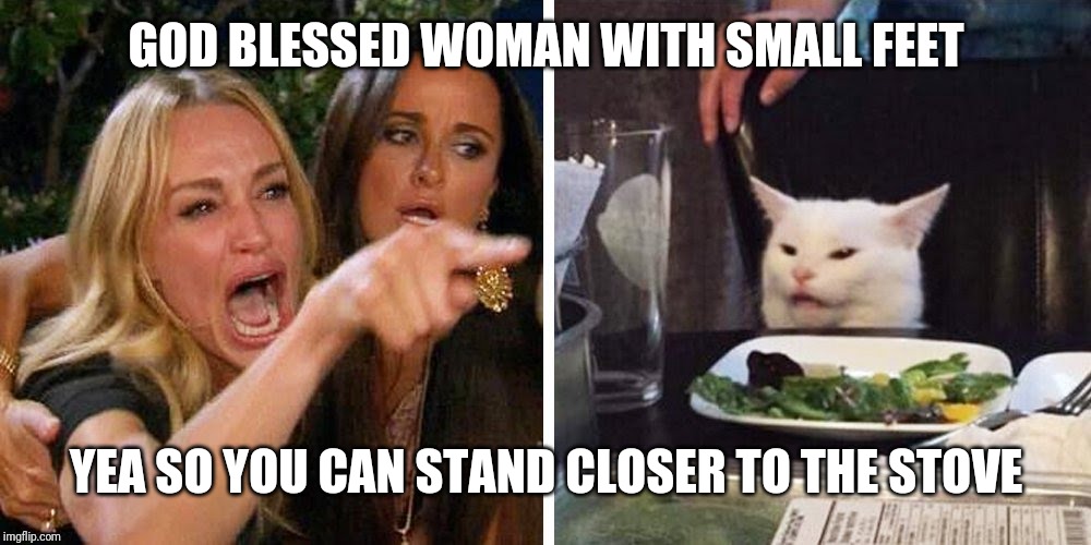 Smudge the cat | GOD BLESSED WOMAN WITH SMALL FEET; YEA SO YOU CAN STAND CLOSER TO THE STOVE | image tagged in smudge the cat | made w/ Imgflip meme maker