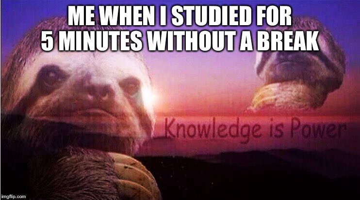 Knowledge is power | ME WHEN I STUDIED FOR 5 MINUTES WITHOUT A BREAK | image tagged in sloth knowledge is power,funny,memes,study,studying,school | made w/ Imgflip meme maker