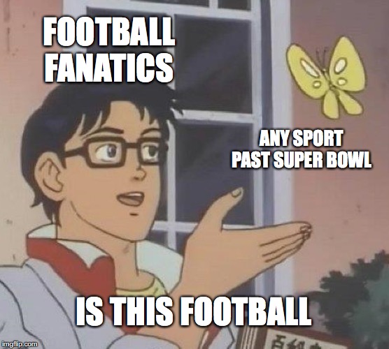 Football fans will be sad once the super bowl is over! | FOOTBALL FANATICS; ANY SPORT PAST SUPER BOWL; IS THIS FOOTBALL | image tagged in memes,is this a pigeon,super bowl,football | made w/ Imgflip meme maker