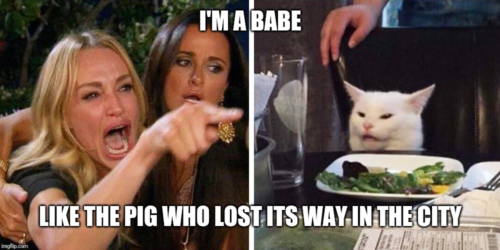 Smudge the cat | I'M A BABE; LIKE THE PIG WHO LOST ITS WAY IN THE CITY | image tagged in smudge the cat | made w/ Imgflip meme maker