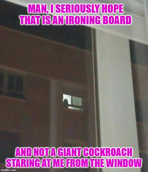 Soon, Karen... | MAN, I SERIOUSLY HOPE THAT IS AN IRONING BOARD; AND NOT A GIANT COCKROACH STARING AT ME FROM THE WINDOW | image tagged in cockroach,funny memes,rear window,building | made w/ Imgflip meme maker