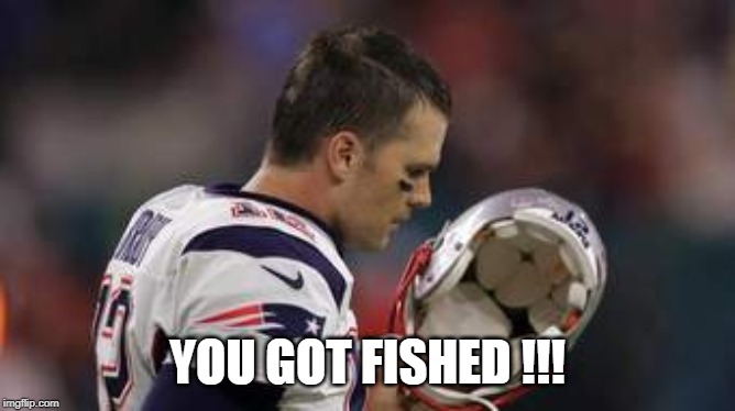 YOU GOT FISHED !!! | image tagged in kansas city chiefs,new england patriots,sports,miami dolphins,nfl,nfl memes | made w/ Imgflip meme maker