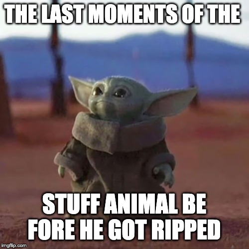 THE LAST MOMENTS OF THE STUFF ANIMAL BE FORE HE GOT RIPPED | image tagged in baby yoda | made w/ Imgflip meme maker