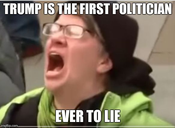 Baby's first political statement | TRUMP IS THE FIRST POLITICIAN; EVER TO LIE | image tagged in screaming liberal,rookie,ignorant,naive | made w/ Imgflip meme maker