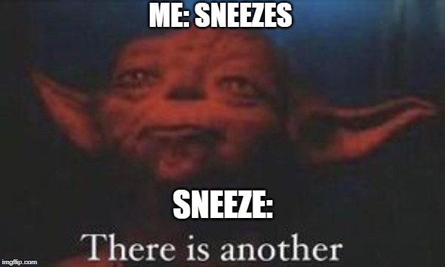 yoda there is another |  ME: SNEEZES; SNEEZE: | image tagged in yoda there is another | made w/ Imgflip meme maker