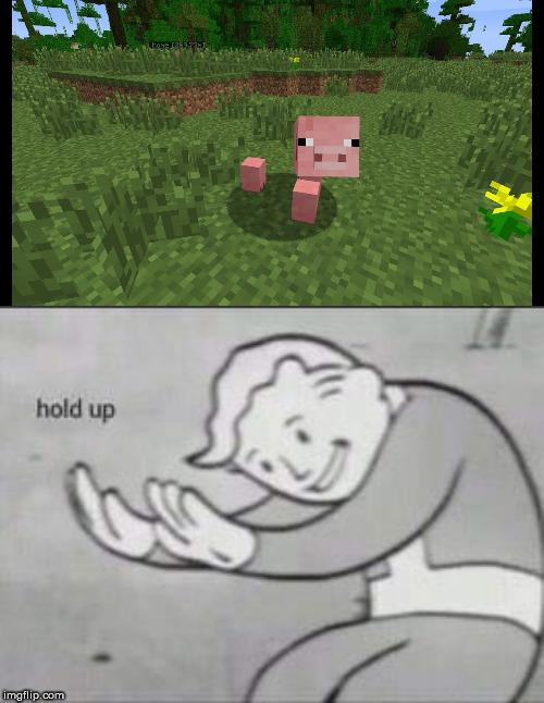 what happened to this pig | image tagged in fallout hold up,minecraft | made w/ Imgflip meme maker