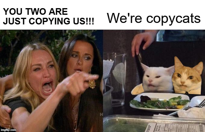 Copycats | YOU TWO ARE JUST COPYING US!!! We're copycats | image tagged in memes,woman yelling at cat,cats,copycat,funny memes | made w/ Imgflip meme maker