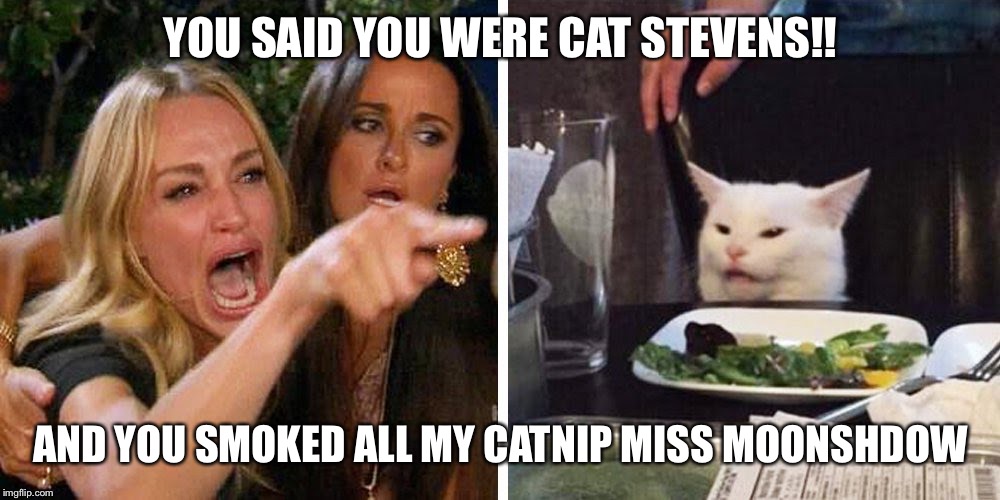 Smudge the cat | YOU SAID YOU WERE CAT STEVENS!! AND YOU SMOKED ALL MY CATNIP MISS MOONSHDOW | image tagged in smudge the cat | made w/ Imgflip meme maker