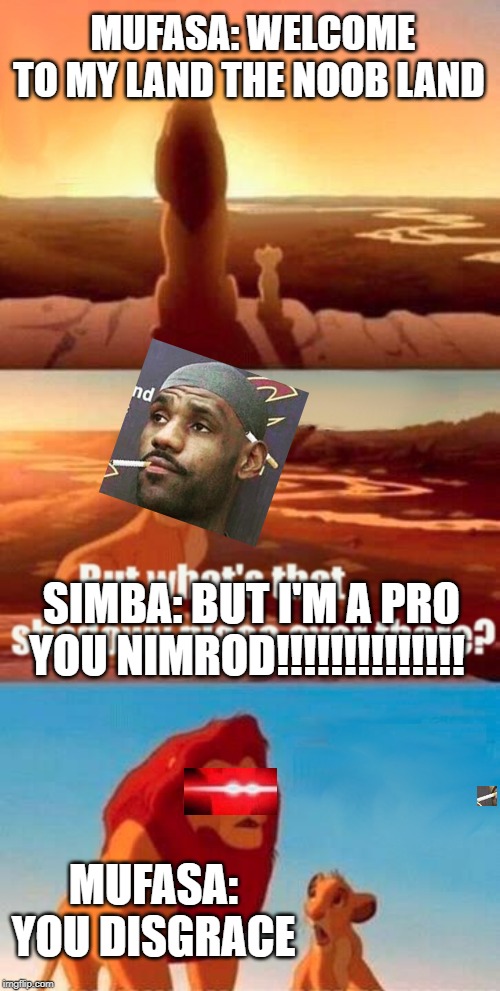 Simba Shadowy Place Meme | MUFASA: WELCOME TO MY LAND THE NOOB LAND; SIMBA: BUT I'M A PRO YOU NIMROD!!!!!!!!!!!!!! MUFASA: YOU DISGRACE | image tagged in memes,simba shadowy place | made w/ Imgflip meme maker