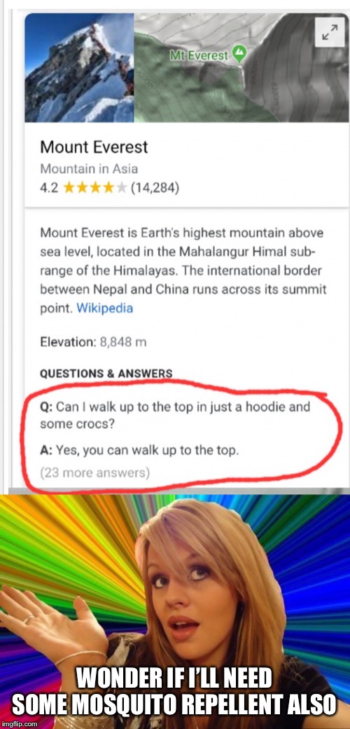 Dumb blonde goes for a hike... | WONDER IF I’LL NEED SOME MOSQUITO REPELLENT ALSO | image tagged in memes,dumb blonde,mount everest,mosquitoes | made w/ Imgflip meme maker