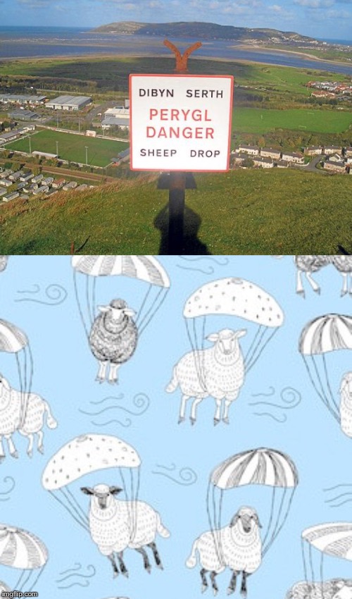Beware of falling sheep | image tagged in sheep,funny signs,parachute,wales | made w/ Imgflip meme maker