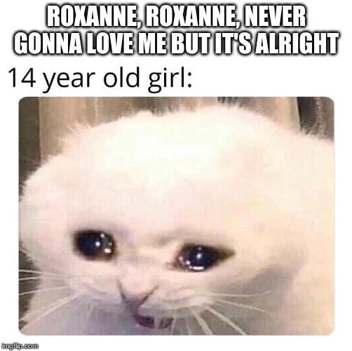 14 year old girls | ROXANNE, ROXANNE, NEVER GONNA LOVE ME BUT IT'S ALRIGHT | image tagged in 14 year old girls | made w/ Imgflip meme maker