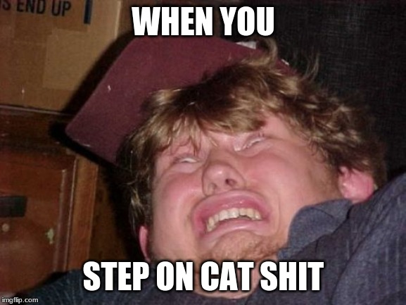 WTF | WHEN YOU; STEP ON CAT SHIT | image tagged in memes,wtf,cats | made w/ Imgflip meme maker