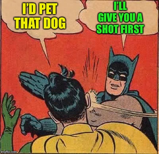 Batman Slapping Robin Meme | I’D PET THAT DOG I’LL GIVE YOU A SHOT FIRST | image tagged in memes,batman slapping robin | made w/ Imgflip meme maker
