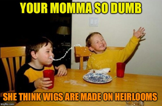 Yo Mamas So Fat | YOUR MOMMA SO DUMB; SHE THINK WIGS ARE MADE ON HEIRLOOMS | image tagged in memes,yo mamas so fat | made w/ Imgflip meme maker