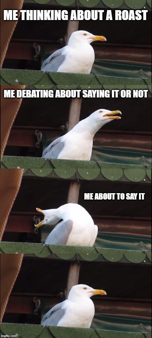 Inhaling Seagull Meme | ME THINKING ABOUT A ROAST; ME DEBATING ABOUT SAYING IT OR NOT; ME ABOUT TO SAY IT | image tagged in memes,inhaling seagull | made w/ Imgflip meme maker