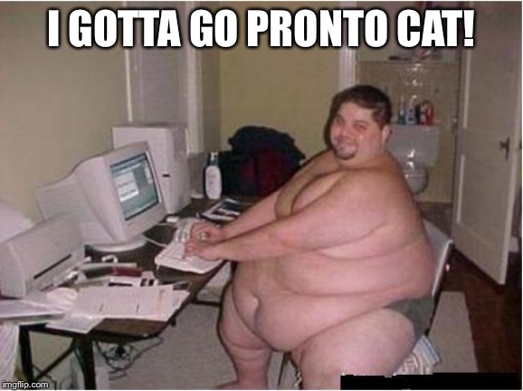 fat guy javascript I GOTTA GO PRONTO CAT! image tagged in fat guy javascrip...