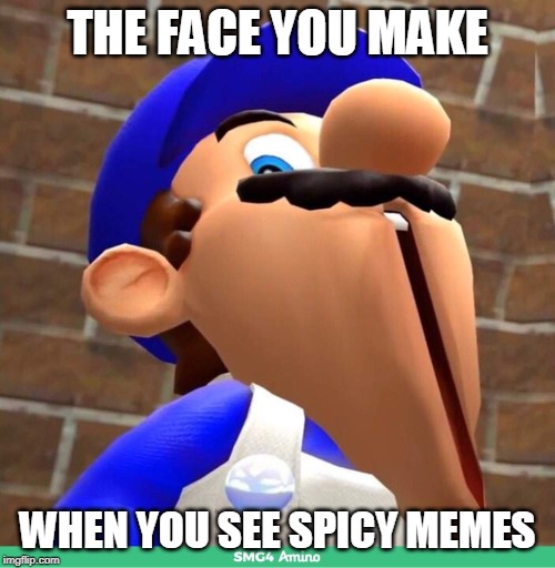 smg4's face | THE FACE YOU MAKE; WHEN YOU SEE SPICY MEMES | image tagged in smg4's face | made w/ Imgflip meme maker