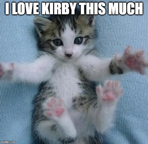 I love you this much  | I LOVE KIRBY THIS MUCH | image tagged in i love you this much | made w/ Imgflip meme maker