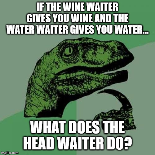 Philosoraptor | IF THE WINE WAITER GIVES YOU WINE AND THE WATER WAITER GIVES YOU WATER... WHAT DOES THE HEAD WAITER DO? | image tagged in memes,philosoraptor | made w/ Imgflip meme maker