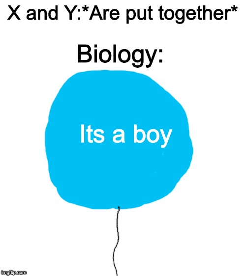 Science Meme #1 | X and Y:*Are put together*; Biology:; Its a boy | image tagged in blank white template | made w/ Imgflip meme maker