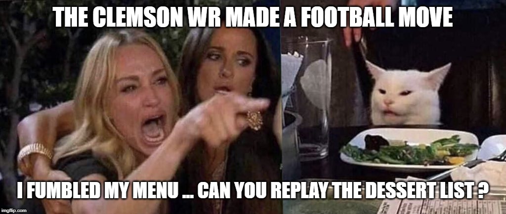 woman yelling at cat | THE CLEMSON WR MADE A FOOTBALL MOVE; I FUMBLED MY MENU ... CAN YOU REPLAY THE DESSERT LIST ? | image tagged in woman yelling at cat | made w/ Imgflip meme maker