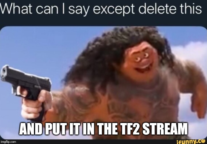What can I say except delete this | AND PUT IT IN THE TF2 STREAM | image tagged in what can i say except delete this | made w/ Imgflip meme maker