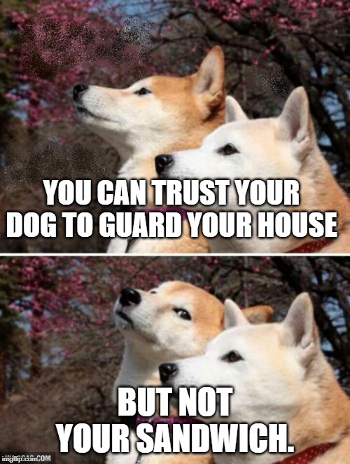 constipation dogs | YOU CAN TRUST YOUR DOG TO GUARD YOUR HOUSE; BUT NOT YOUR SANDWICH. | image tagged in constipation dogs | made w/ Imgflip meme maker