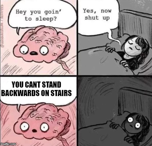 YOU CANT STAND BACKWARDS ON STAIRS | image tagged in yeet | made w/ Imgflip meme maker