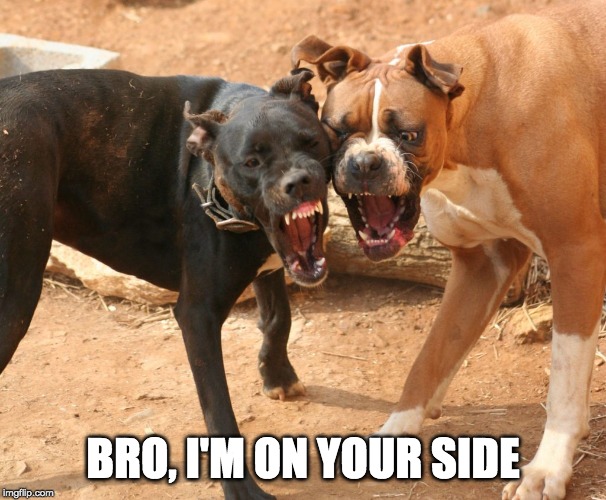 BRO, I'M ON YOUR SIDE | made w/ Imgflip meme maker