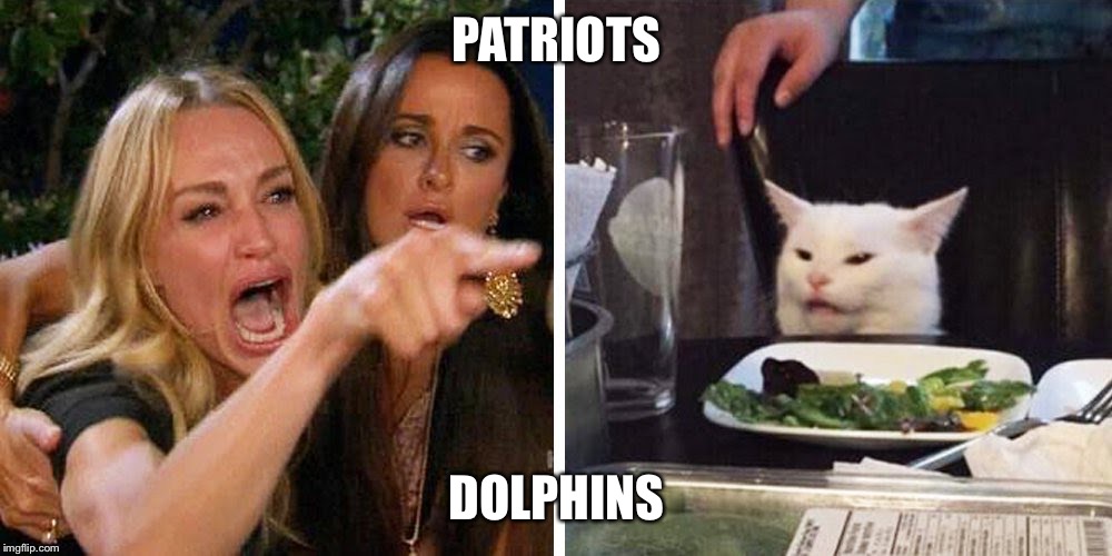 Smudge the cat | PATRIOTS; DOLPHINS | image tagged in smudge the cat | made w/ Imgflip meme maker