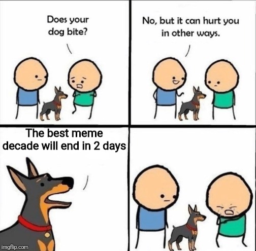 does your dog bite | The best meme decade will end in 2 days | image tagged in does your dog bite | made w/ Imgflip meme maker