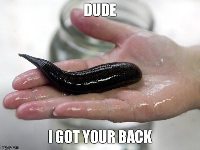 Leech | DUDE I GOT YOUR BACK | image tagged in leech | made w/ Imgflip meme maker