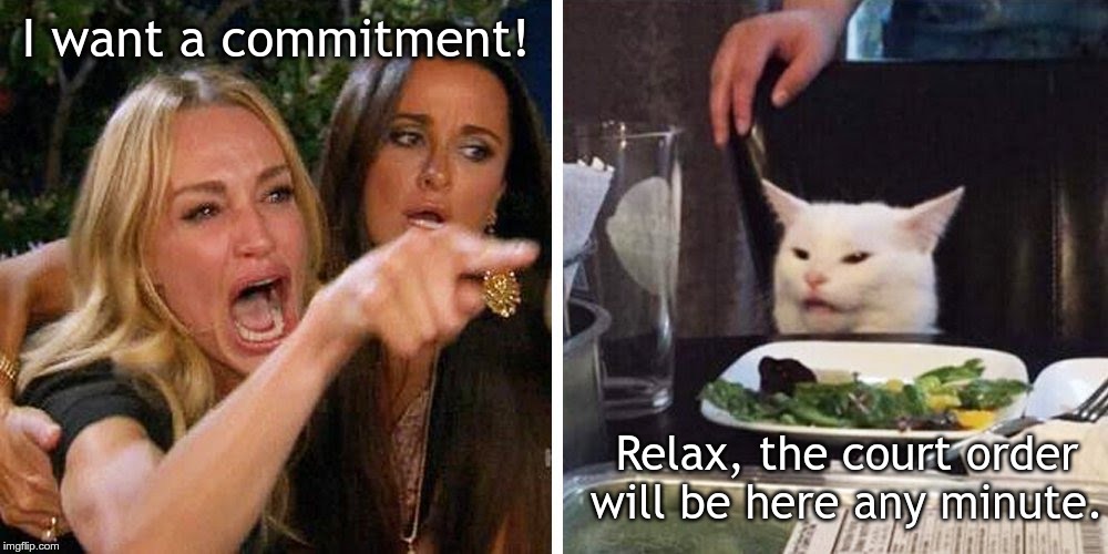 Smudge the cat | I want a commitment! Relax, the court order will be here any minute. | image tagged in smudge the cat | made w/ Imgflip meme maker