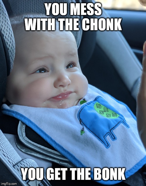 My Nephew, Oliver | YOU MESS WITH THE CHONK; YOU GET THE BONK | image tagged in cute | made w/ Imgflip meme maker