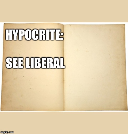 Dictionary meme | HYPOCRITE:; SEE LIBERAL | image tagged in dictionary meme | made w/ Imgflip meme maker